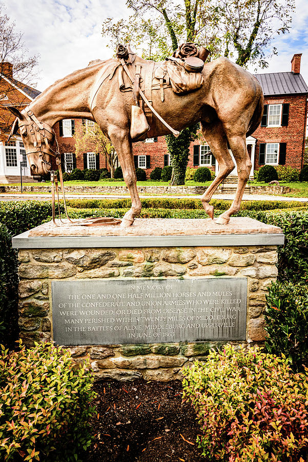 Civil War Horse Sculpture, National Sporting Library and Museum #2 Photograph by Mark Summerfield