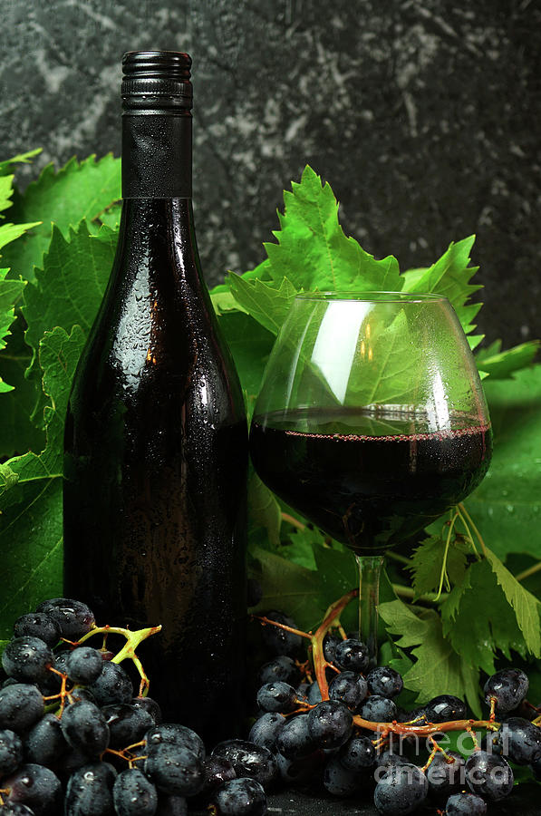 Wine Photograph - Clean skin bottle and glass of premium red wine in wine tasting setting. #2 by Milleflore Images