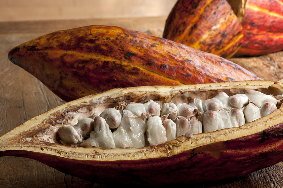 Cocoa fruit - Foodstuff. #2 Photograph by TinaFields