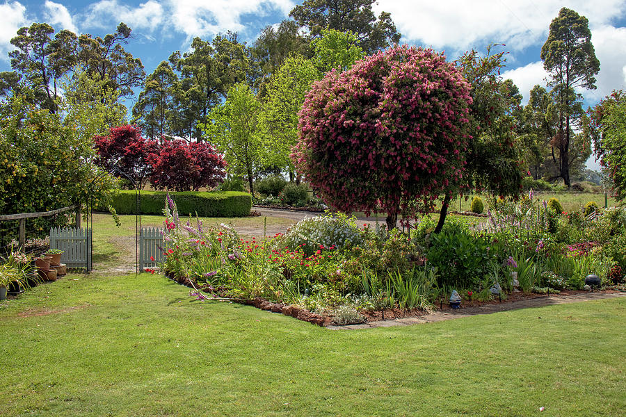 Colmah - A garden in Manjimup, Western Australia 3 Photograph by Elaine Teague
