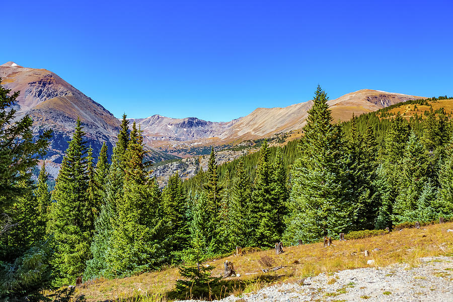 Colorado Rocky Mountains in the Fall 8 Digital Art by SnapHappy Photos
