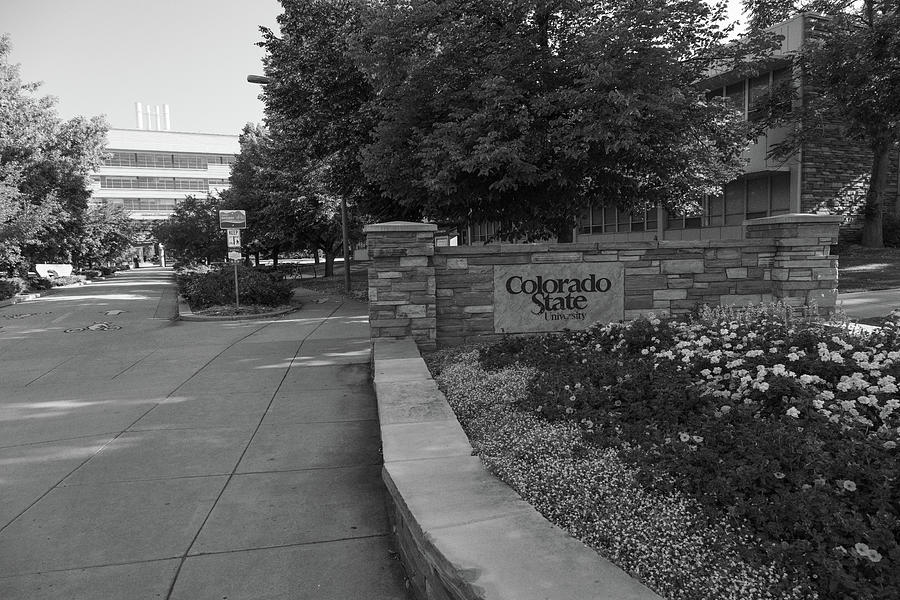 Colorado State University sign in black and white #2 Photograph by Eldon McGraw