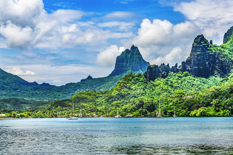 Colorful Cook's Bay Sailboats Mount Tohivea Moorea Tahiti Photograph By 