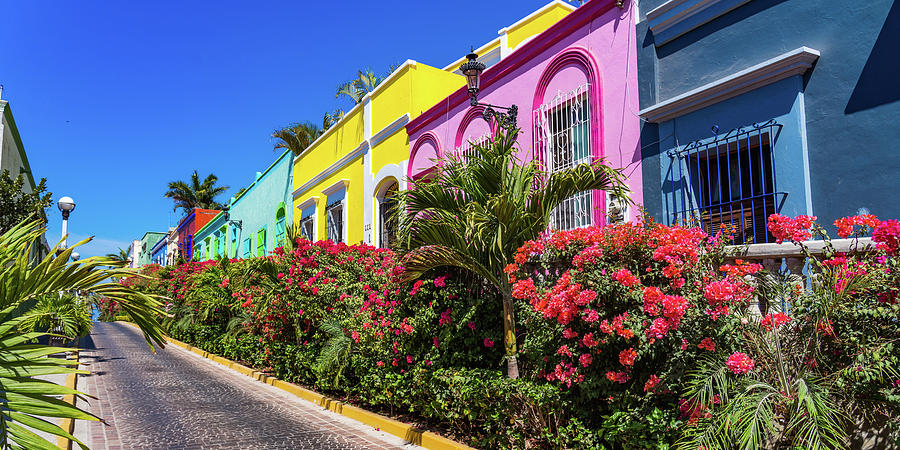 Colorful Homes in Centro Mazatlan Mexico Photograph by Tommy Farnsworth