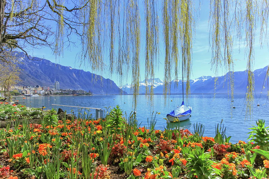 Colorful springtime flowers at Geneva lake and Alps mountains in #2 Photograph by Elenarts - Elena Duvernay photo