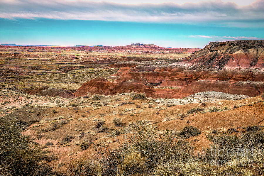Colors of the SouthWest #2 Photograph by Jon Burch Photography