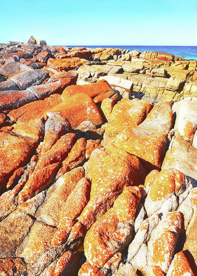 Colourful Coastline - Tasmania #2 Photograph by Lexa Harpell