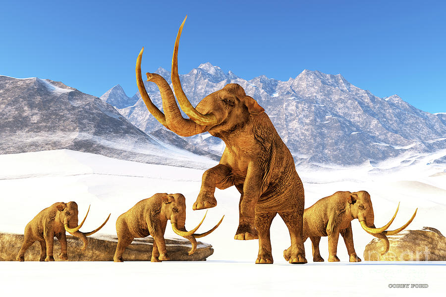 Columbian Mammoth #2 Digital Art by Corey Ford
