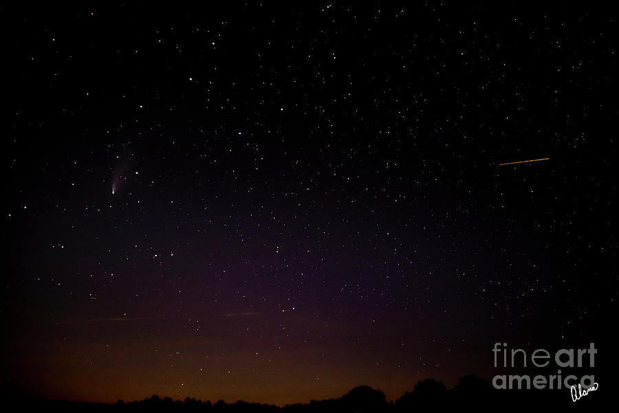Comet Neowise In Ursa Major Photograph