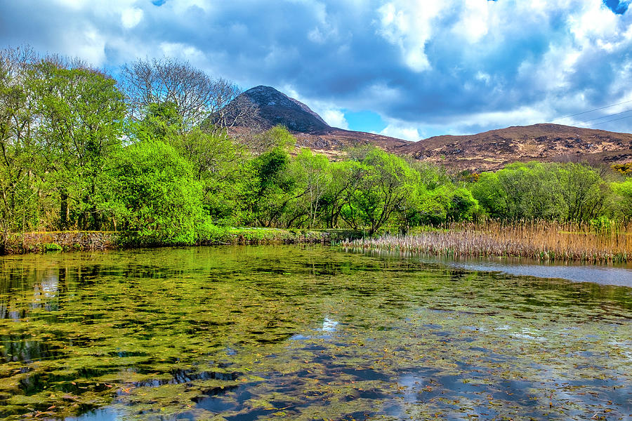 Connemara National Park #2 Photograph by Fabrizio Troiani