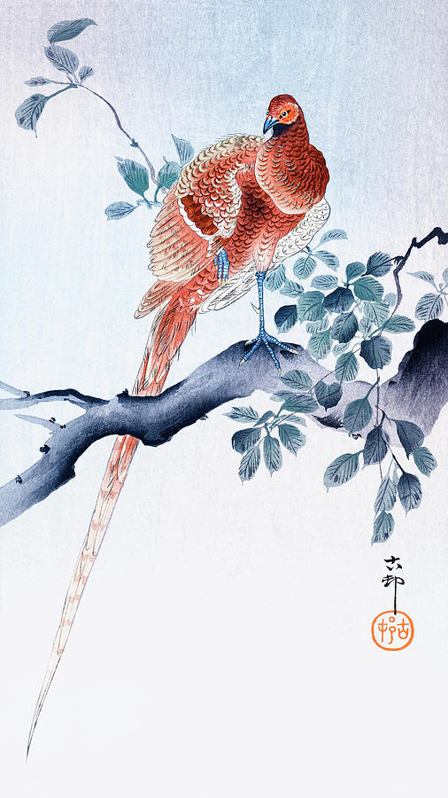 Animal Painting - Copper pheasant #2 by Ohara Koson
