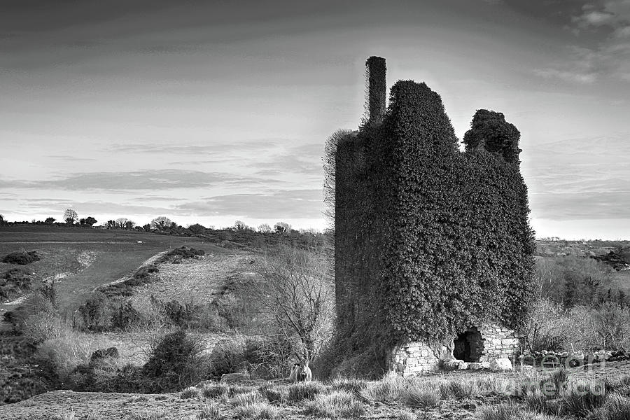 Corluddy Castle #2 Photograph by Joe Cashin