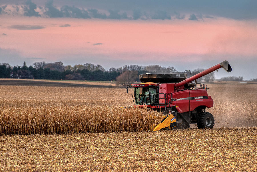 Corn Harvest #2 Photograph by Paul Freidlund