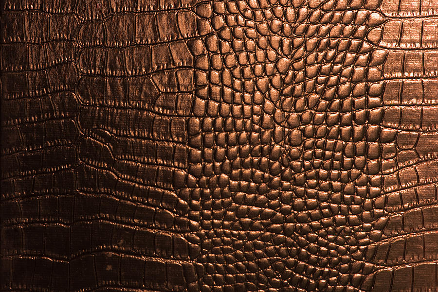 Crocodile Leather Texture Closeup Background #2 Photograph by Thatree Thitivongvaroon