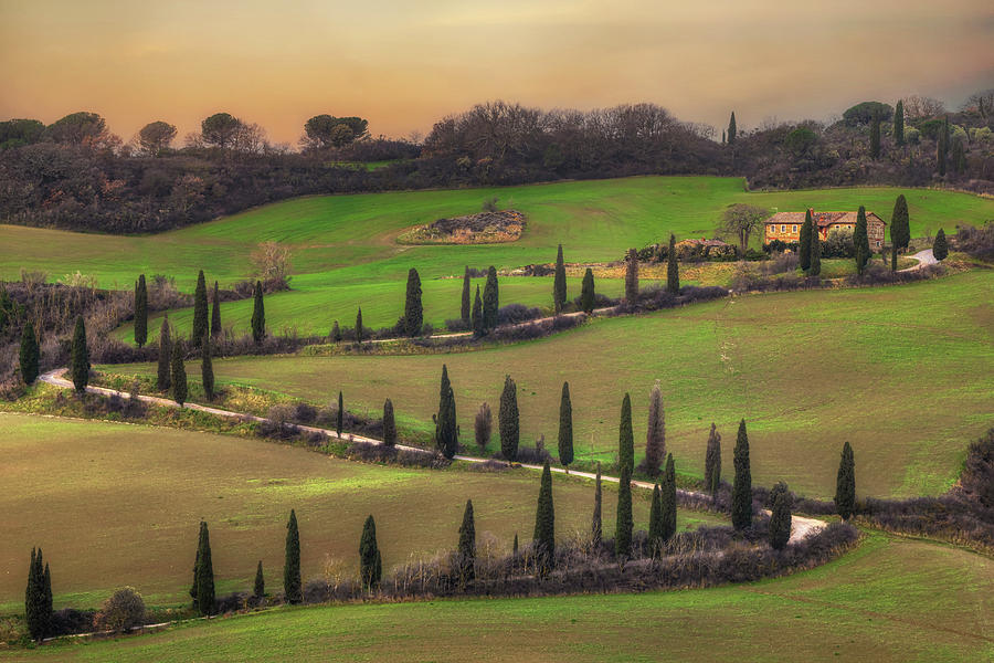 Cypress Road Val dOrcia - Tuscany - Italy #2 Photograph by Joana Kruse