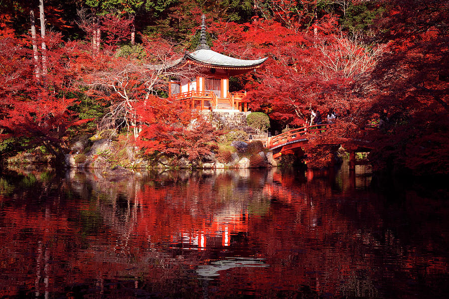 Daigoji temple with pond bridge pagoda and red maple gargen in a #2 Photograph by Anek Suwannaphoom