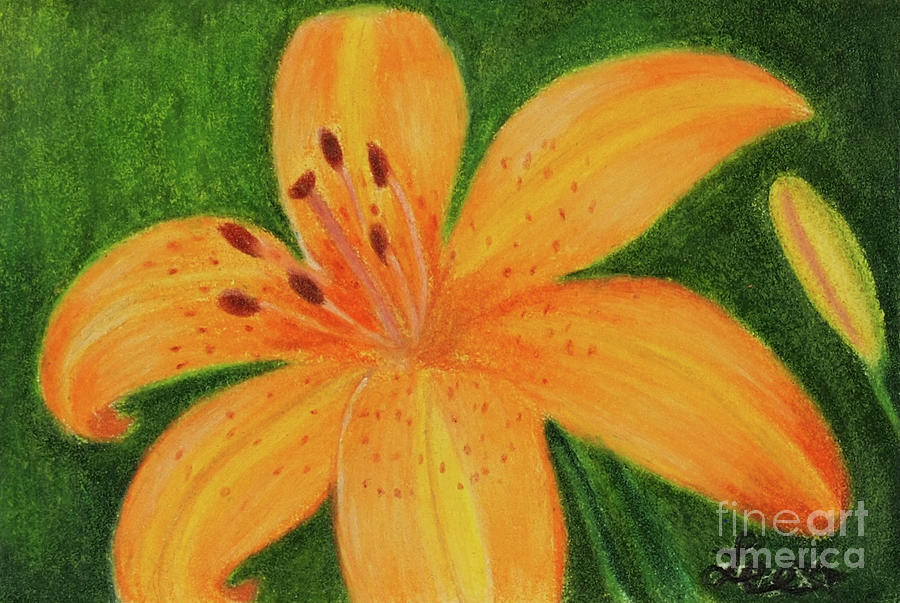 Daylily #2 Painting by Dorothy Lee