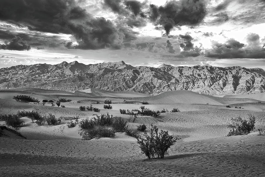Death Valley #2 Photograph by James Bethanis