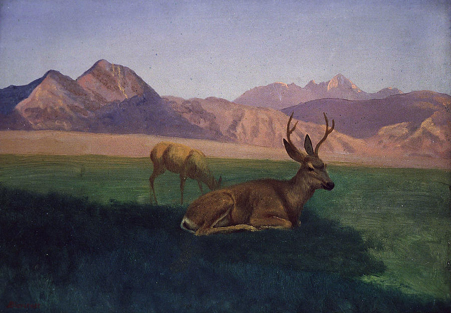 Albert Bierstadt  Painting - Deer  #2 by Alexander Ivanov