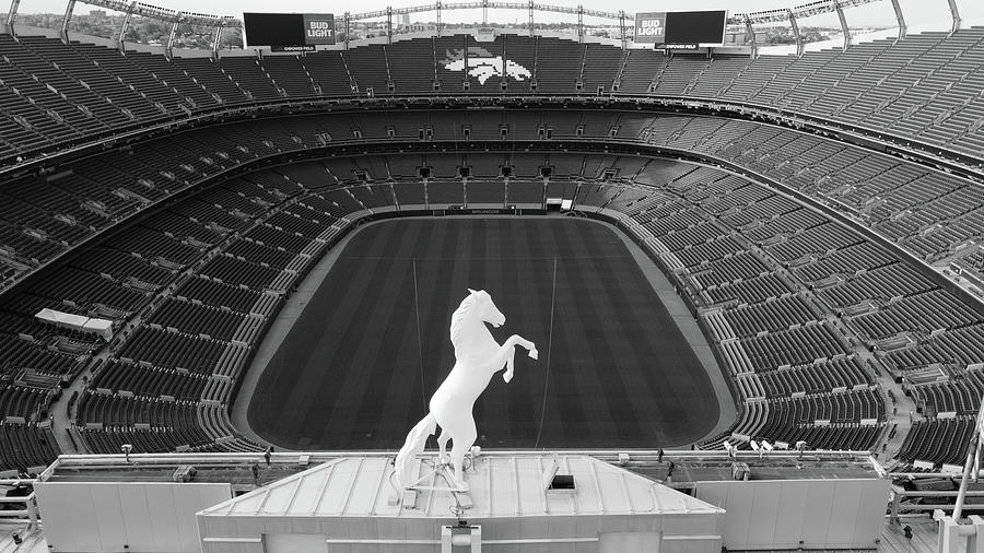 Denver Bronco overlooking Mile High Stadium in black and white #2 Photograph by Eldon McGraw
