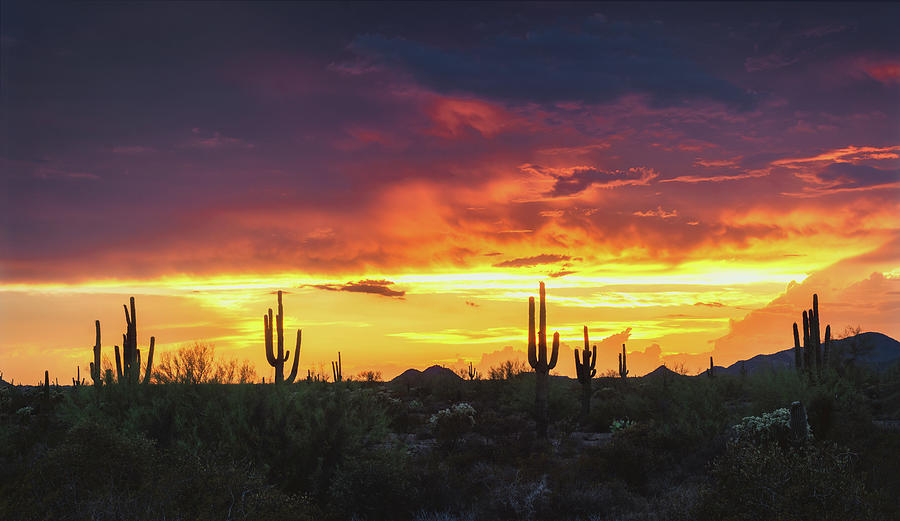 Desert Light At Sunset  #2 Photograph by Saija Lehtonen