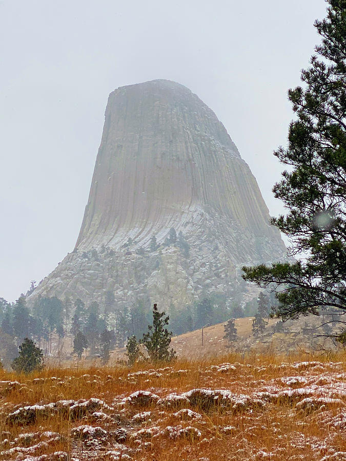 Devils Tower Wyoming Painting by Ses
