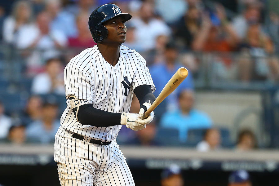 Didi Gregorius #2 Photograph by Mike Stobe