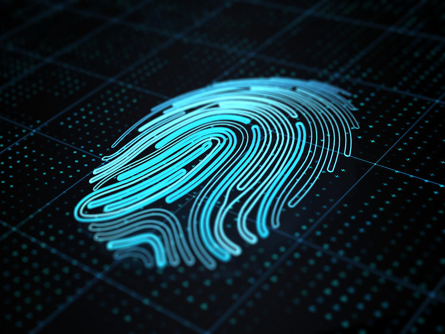 Digital fingerprint, illustration #2 Drawing by Sergii Iaremenko/science Photo Library