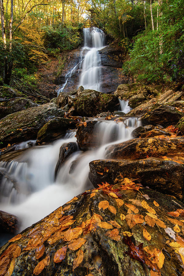 Dill Falls - Autumn 2021 #2 Photograph by David Simchock