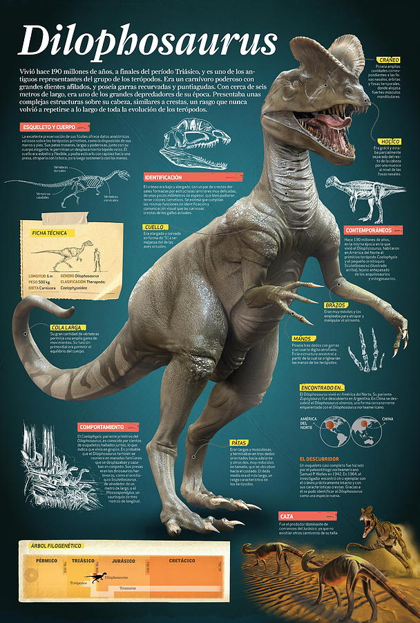 Dilophosaurus #2 Digital Art by Album