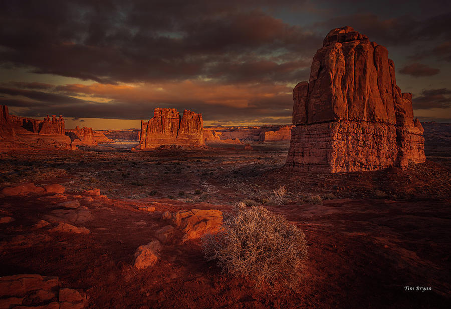 Arches National Park Photograph - High Desert Dawn by Tim Bryan