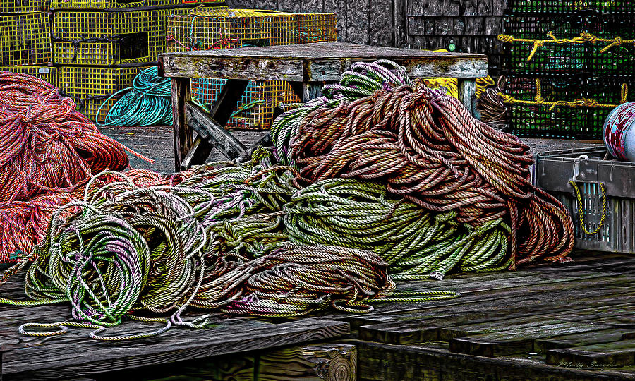 Dockside Still Life #2 Photograph by Marty Saccone