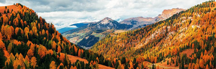 Dolomites Autumn foliage #2 Photograph by Songquan Deng