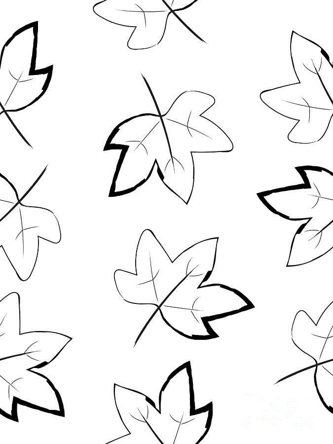 Maple Leaf Drawing - A tutorial by The Painted Pen