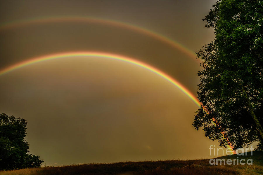 Double Rainbow Over Pasture Field Photograph