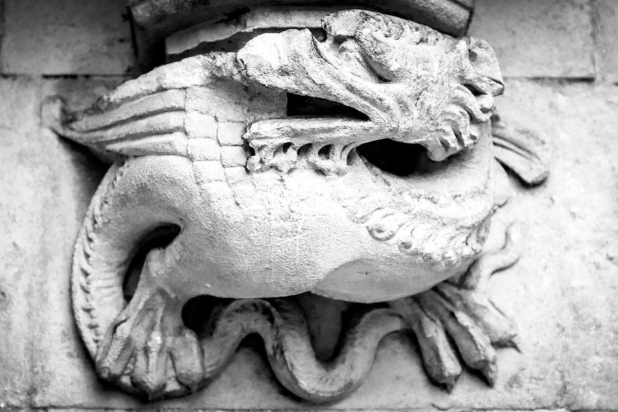 Dragon, Westminster Abbey Photograph