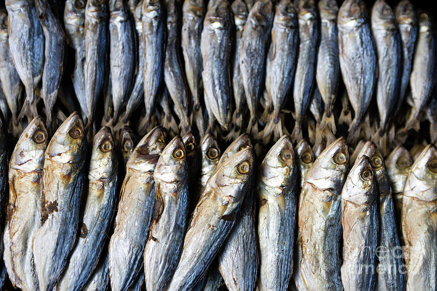 Dried Fish Carbon Market Cebu City Philippines Photograph by Kevin