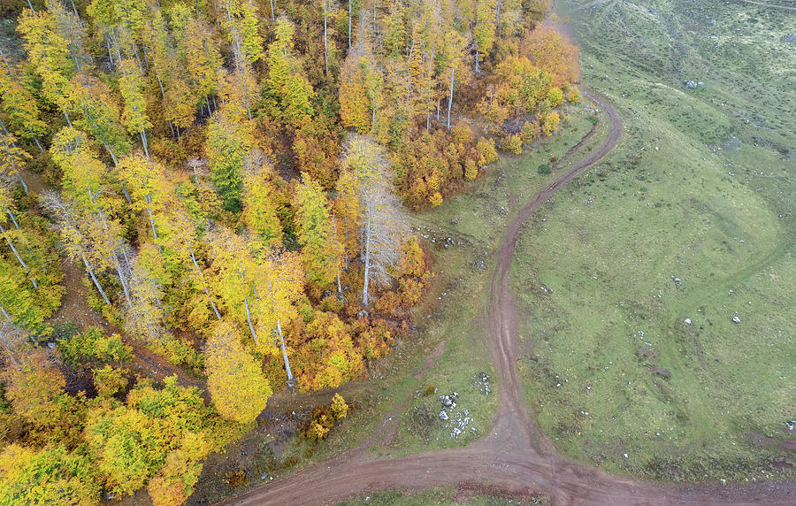 Drone aerial of autumn forest road. Fall season scenery #3 Photograph by Michalakis Ppalis