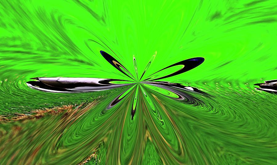 2 ducks HDR flower deformation Digital Art by Karl Rose