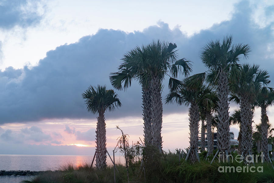 Early morning sunrise on the Gulf of Mexico with soft pastel ora #2 Photograph by Timothy OLeary