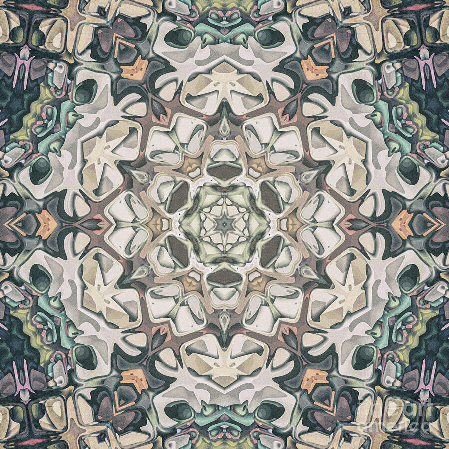 Earth Tones Mandala #2 Digital Art by Phil Perkins