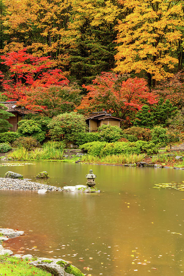 Fall at Seattle Japanese Garden #2 Digital Art by Michael Lee