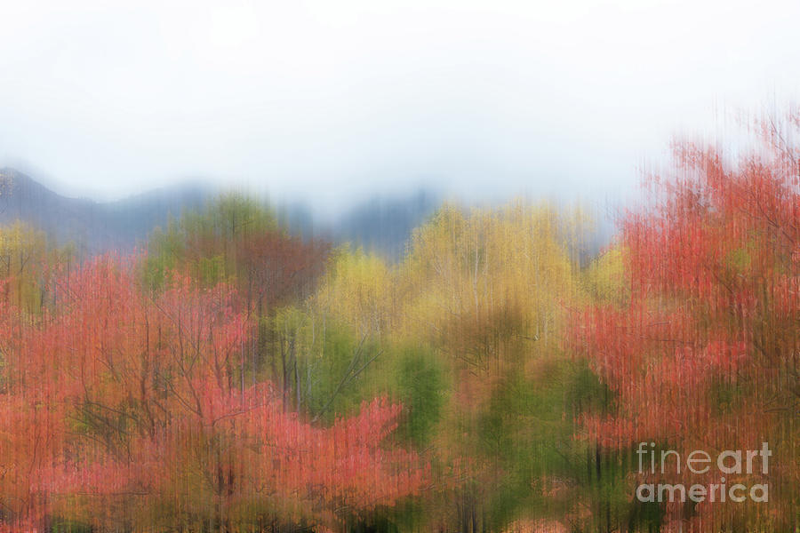 Fall colors of Nikko Japan #2 Photograph by Kiran Joshi