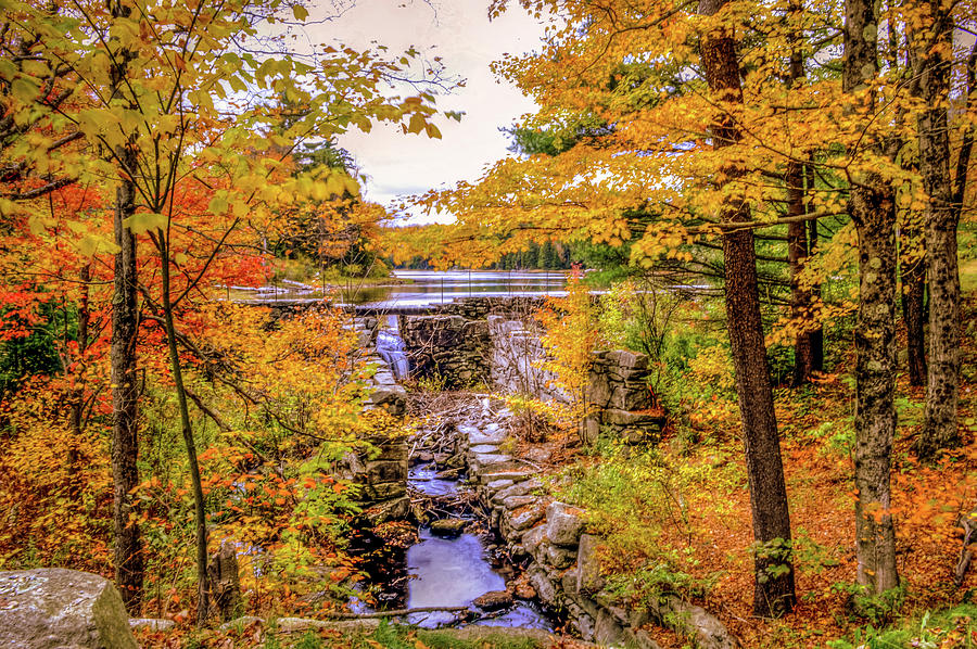 Fall Foliage Massachusetts USA #2 Photograph by Paul James Bannerman