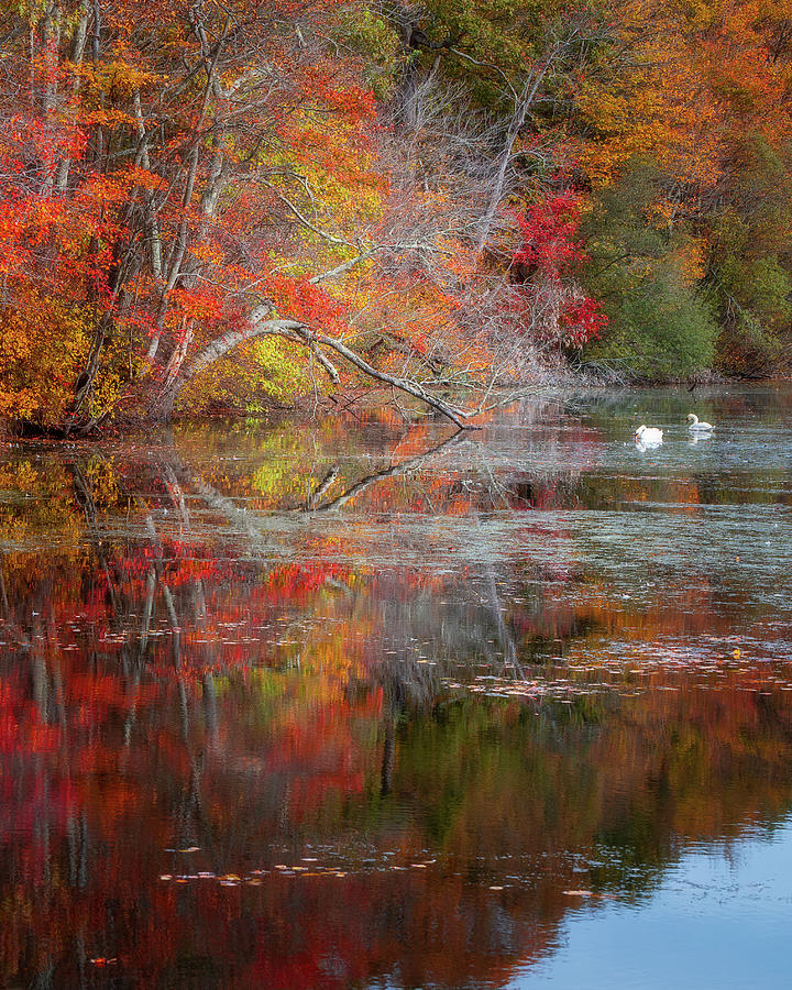 Fall Reflections #2 Photograph by John Randazzo