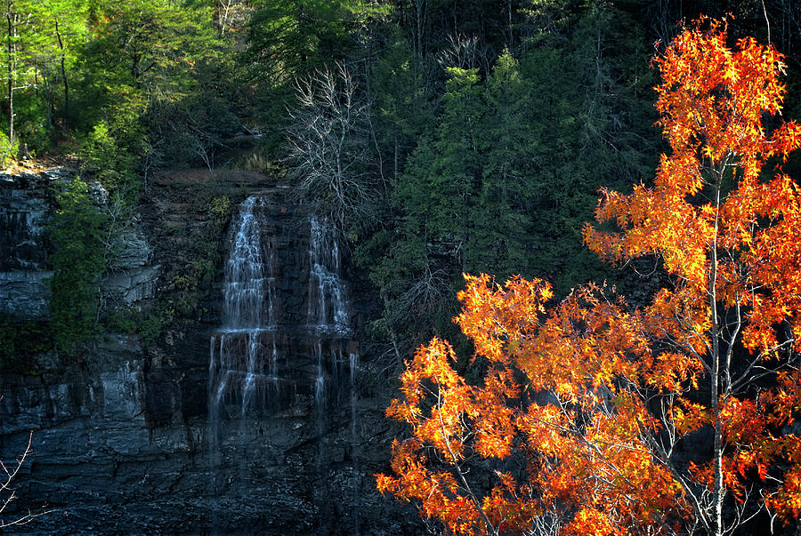 Falls in the Fall #2 Photograph by George Taylor