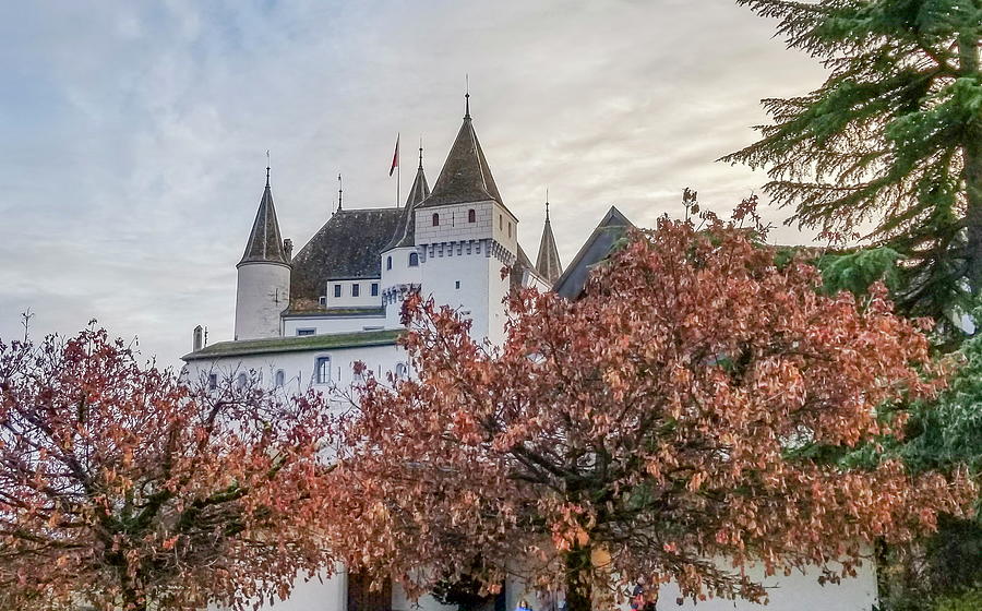 Famous medieval castle in Nyon, Switzerland #2 Photograph by Elenarts - Elena Duvernay photo
