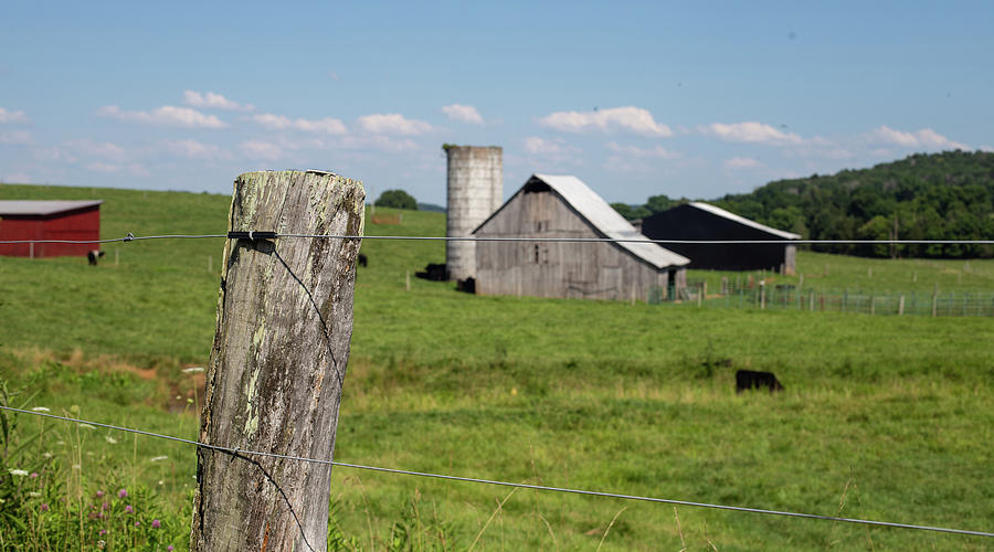 Fence post on farm Photograph by Eldon McGraw