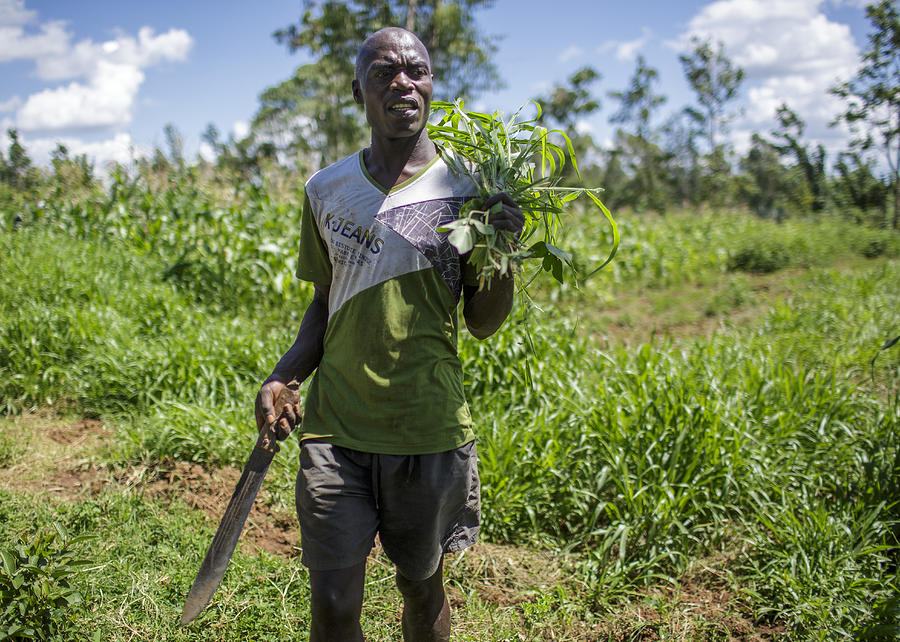 Farmer in Kenya #2 Photograph by Thomas Imo
