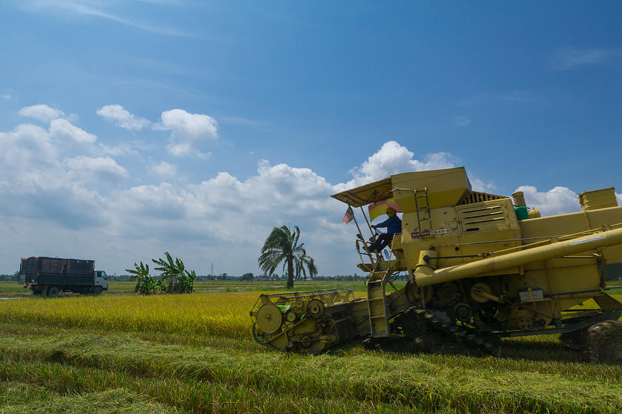 Farmer uses machine to harvest rice on paddy field in Sabak Bernam on July, 2017. Sabak Bernam is one of the major rice supplier in Malaysia. #2 Photograph by Shaifulzamri